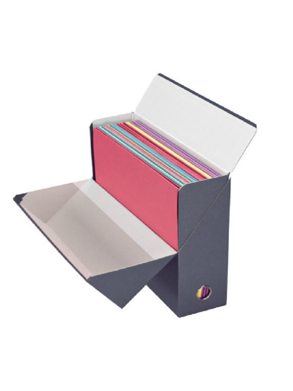 Boîte de transfert Exacompta carton - Dos de 9 cm