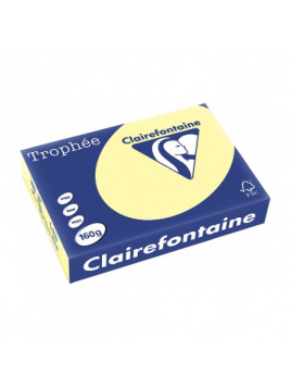 Papier couleur pastel CLAIREFONTAINE A4 160g - la ramette de 250 feuilles