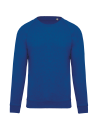 Sweat-shirt Bio manches raglan enfant