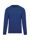 Sweat-shirt Bio col rond manches raglan homme