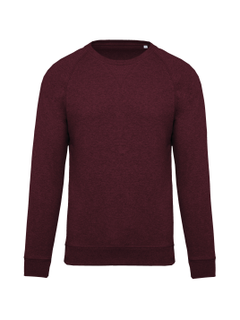 Sweat-shirt Bio col rond manches raglan homme