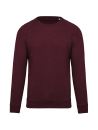 Sweat-shirt Bio col rond manches raglan homme