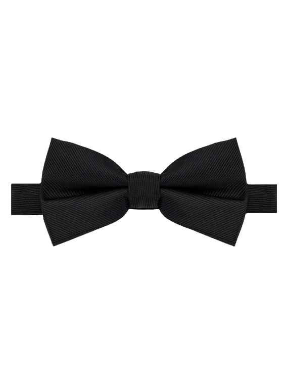 Noeud papillon