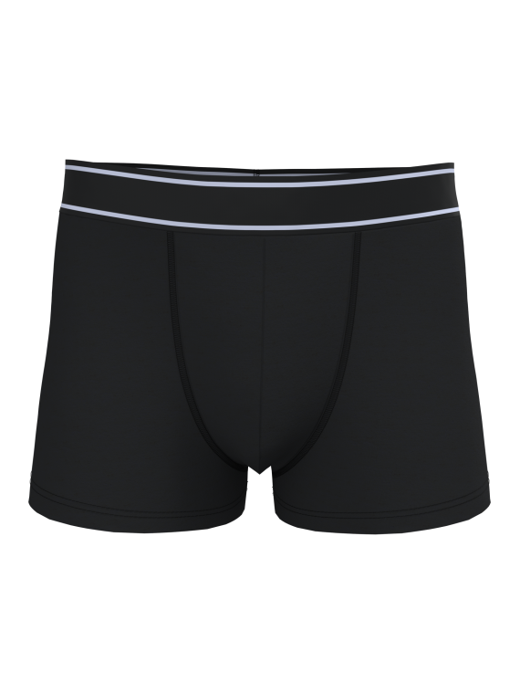 Boxer