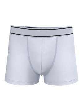 Boxer