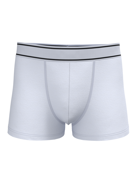 Boxer
