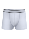 Boxer