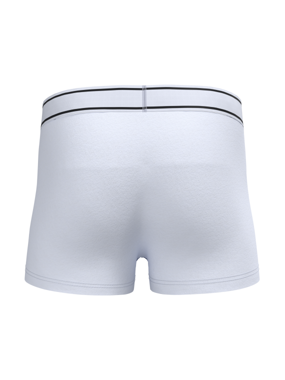 Boxer