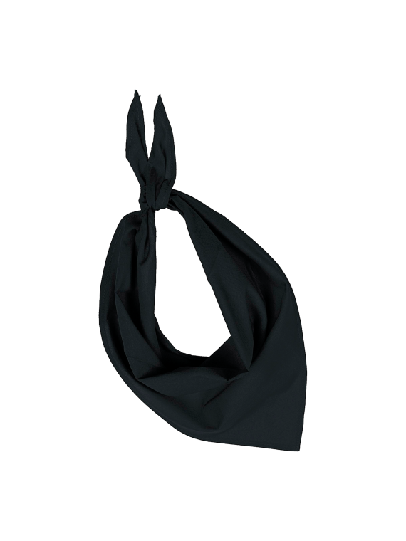 Fiesta - Bandana