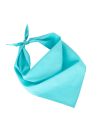 Fiesta - Bandana