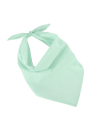 Fiesta - Bandana