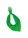 Fiesta - Bandana