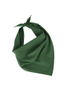 Fiesta - Bandana