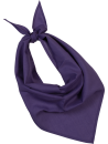 Fiesta - Bandana