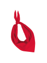 Fiesta - Bandana