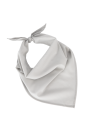 Fiesta - Bandana