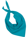 Fiesta - Bandana