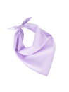 Fiesta - Bandana