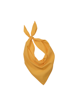 Fiesta - Bandana