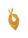 Fiesta - Bandana