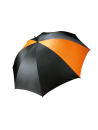 Parapluie tempête
