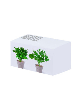 Set Pot de Fleurs Nertel