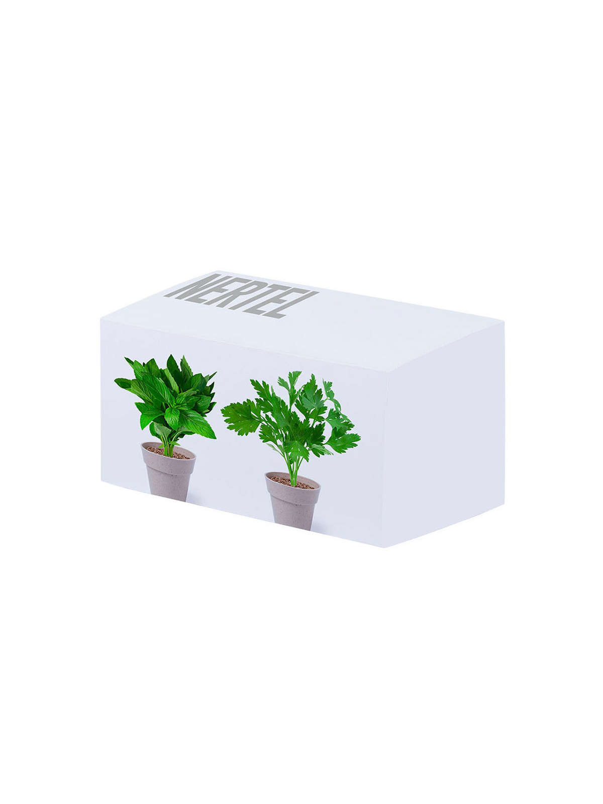 Set Pot de Fleurs Nertel