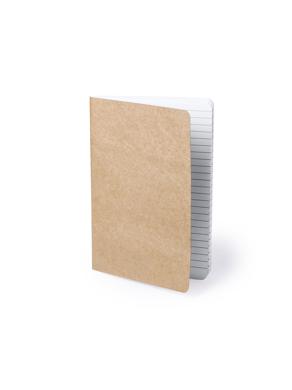 Cahier Zurix