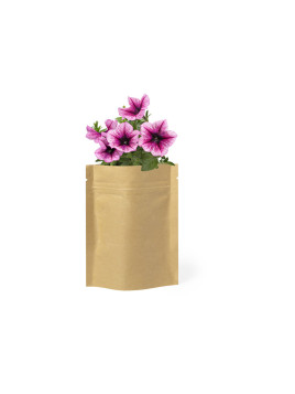 Pot de Fleurs Sober