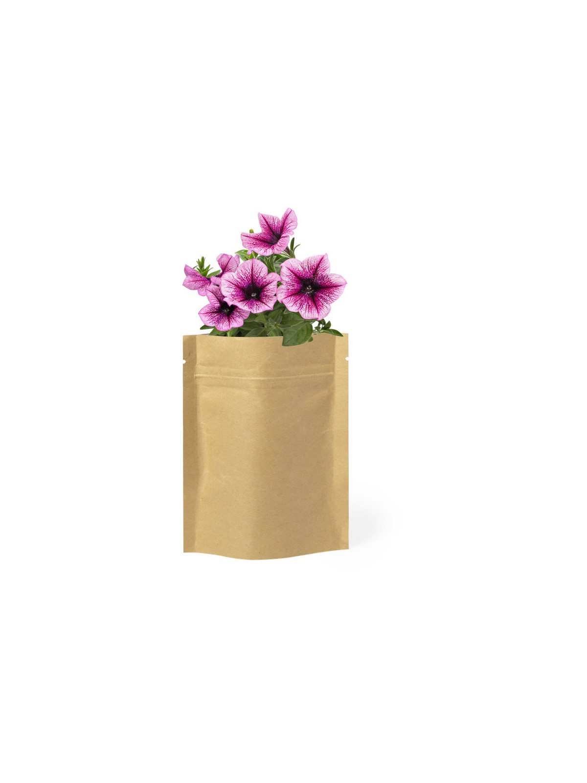 Pot de Fleurs Sober