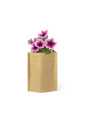 Pot de Fleurs Sober