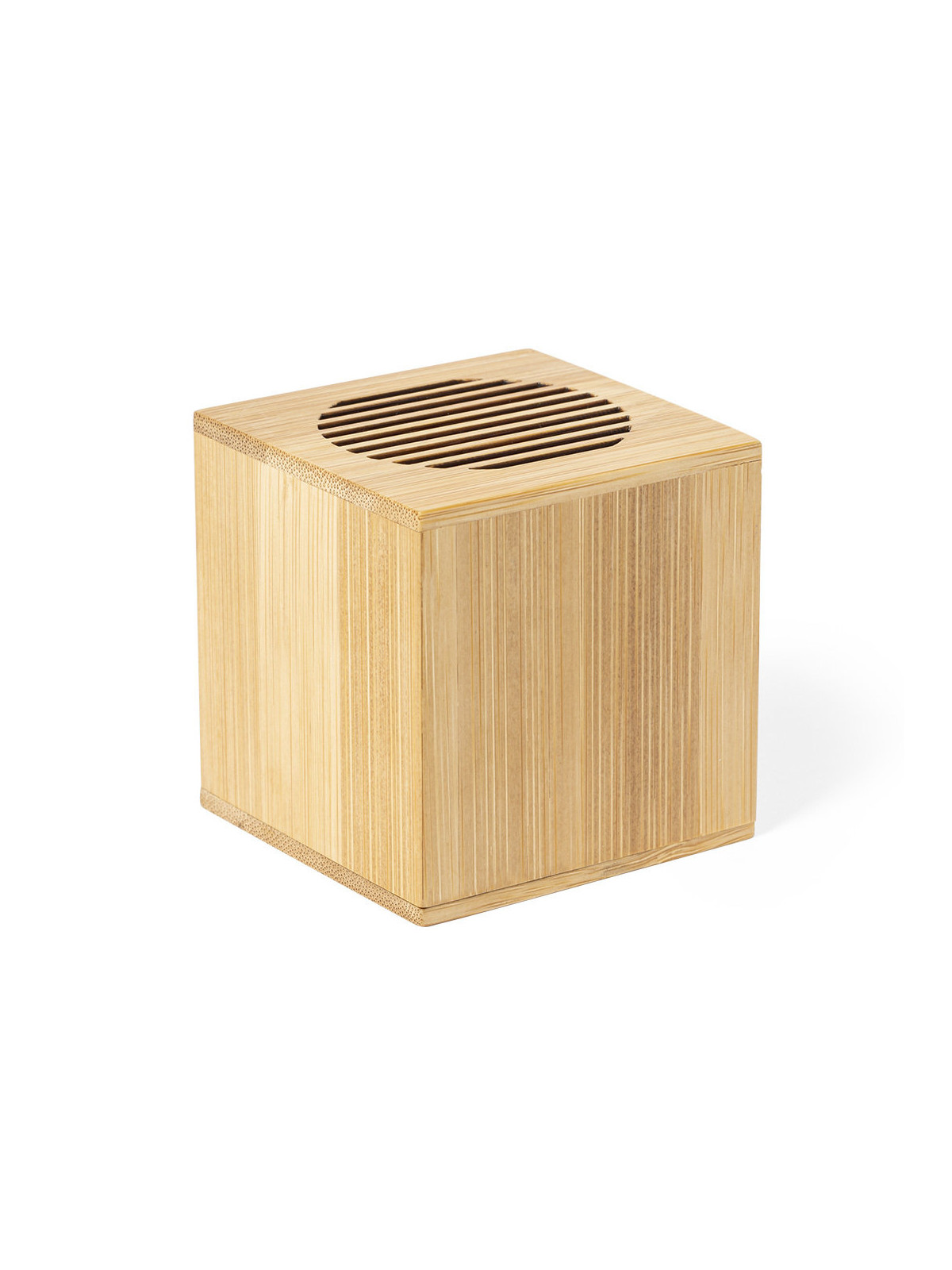 Haut-Parleur Teoden