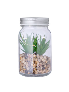 Plante Décorative Kyala