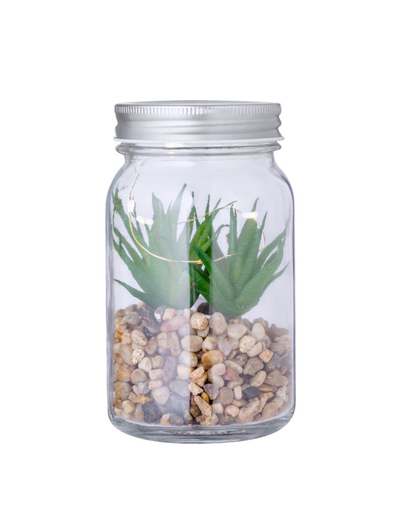 Plante Décorative Kyala