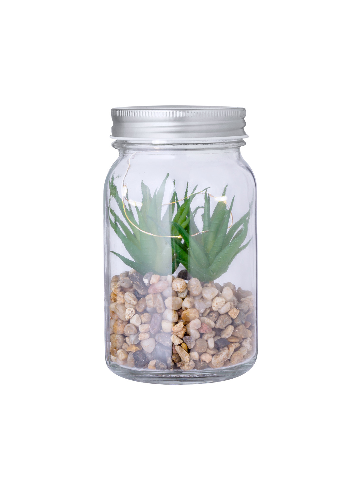 Plante Décorative Kyala