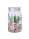 Plante Décorative Kyala