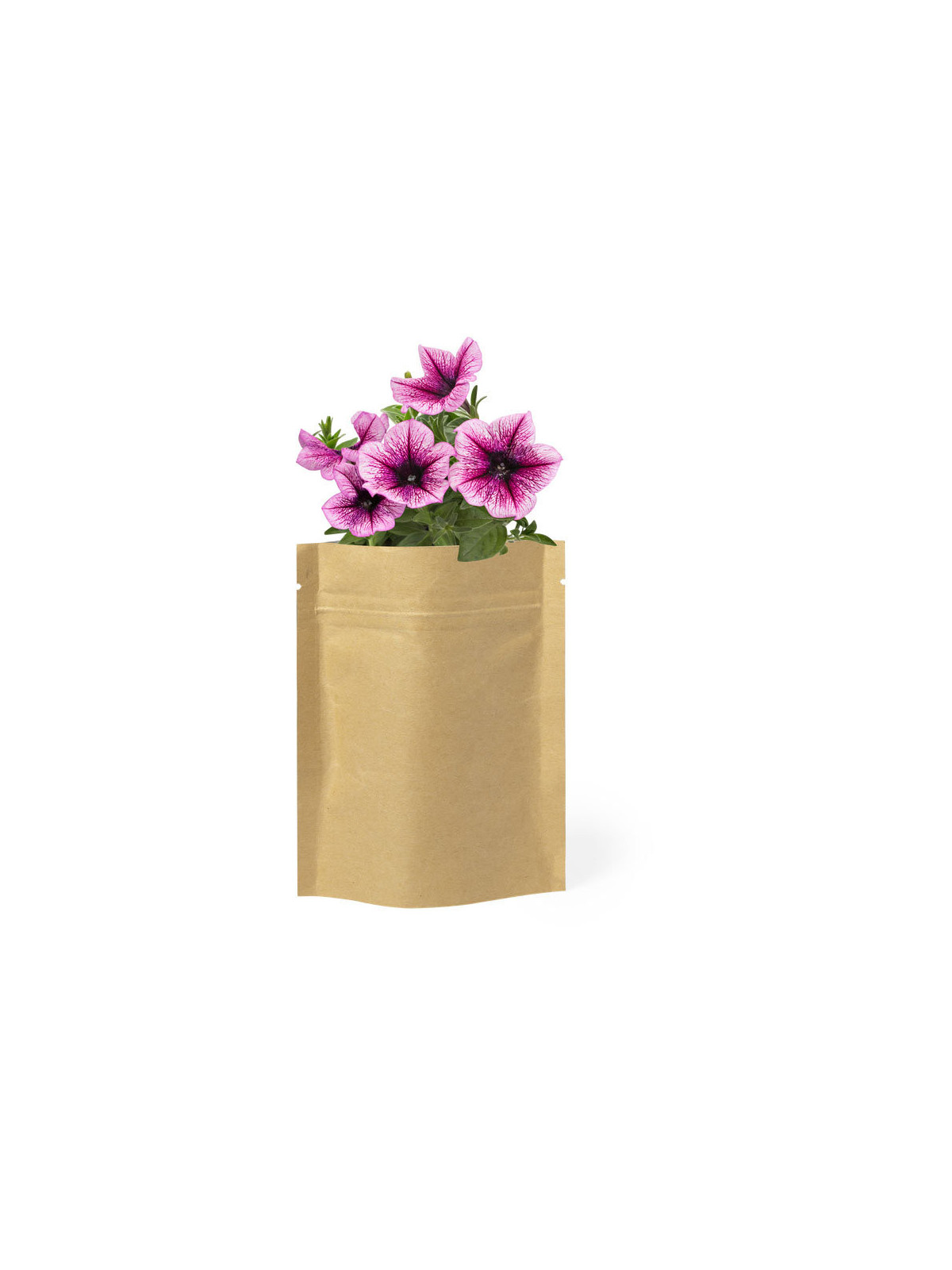 Pot de Fleurs Sober