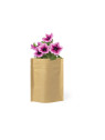 Pot de Fleurs Sober