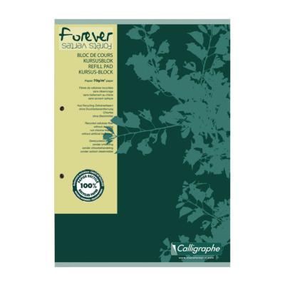 Cahier Calligraphe Forever 100% recyclé A4 - Spirales - 100 pages - Quadrillé 5x5 - 21 x 29,7 cm - Lot de 5