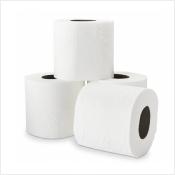 Papier toilette haut de gamme Ecolabel 3 épaisseurs - 250 feuilles - Le lot de 24 rouleaux