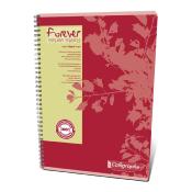 Cahier Calligraphe Forever 100% recyclé A4 - Spirales - 180 pages - Quadrillé 5x5 - 21 x 29,7 cm - Lot de 5