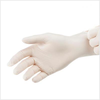 Gants latex naturels non poudrés - La boîte de 100 Taille XL/10