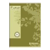 Cahier Calligraphe Forever 100% recyclé A4 - Piqûre - 96 pages - SEYES - 21 x 29,7 cm - Lot de 5