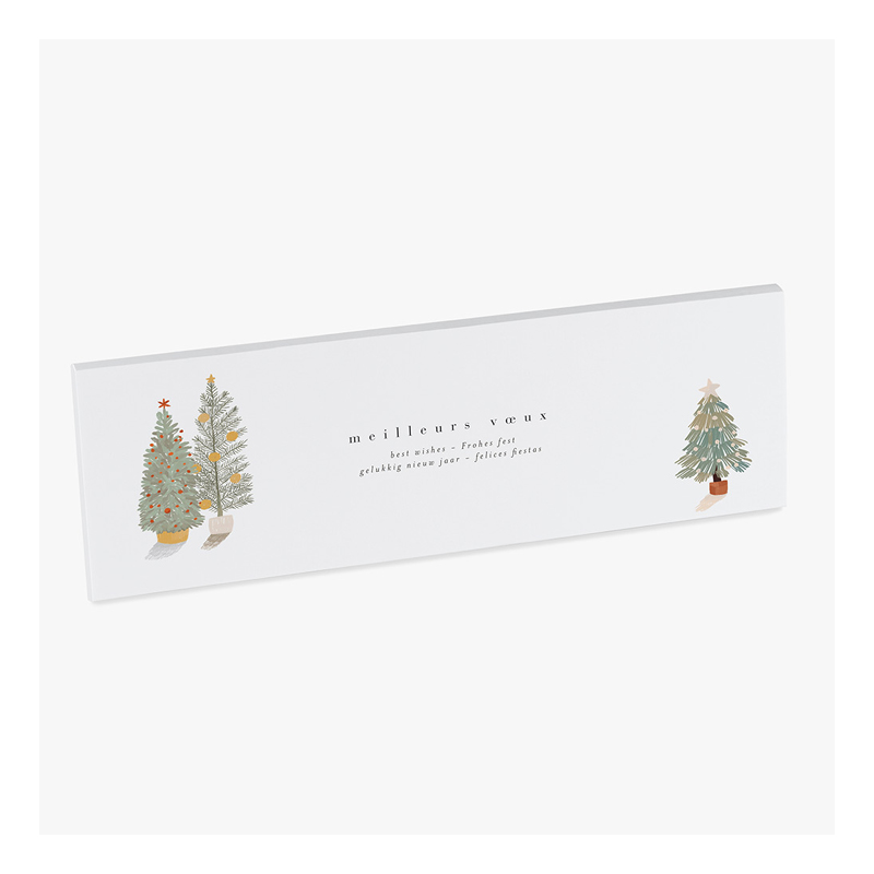Etui chocolat - Jardin d'hiver