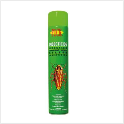 Insecticide rampants - Aérosol 750 ml