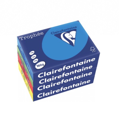 Papier couleur intense CLAIREFONTAINE A4 160g - la ramette de 250 feuilles