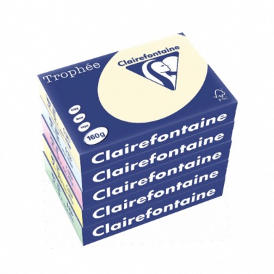 Papier couleur pastel CLAIREFONTAINE A4 160g - la ramette de 250 feuilles